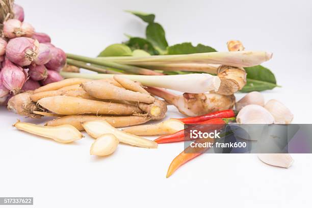 Fingerroot Kaempfer Boesenbergia And Ingredient Of Thai Red Cu Stock Photo - Download Image Now