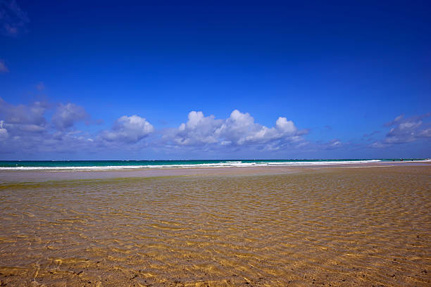 istock Beautiful of Diani in Kenya 517338236