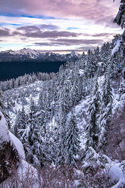 istock Sunrise over a snowy forrest and mountains 517339202