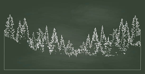 Chalkboard Forest A chalk outline vector silhouette illustration of a forest tree line with pine trees that slopes down to the center. wilderness area stock illustrations