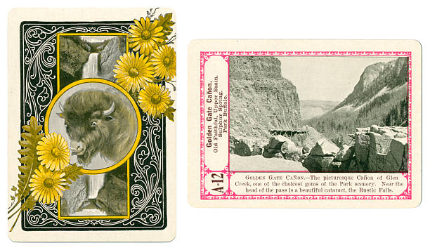 Yellowstone playing card plus back Golden Gate Canyon 1900
