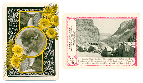 This is a card from a rare 1900 set of playing cards, the game of Yellowstone, originally produced by The Firestone Game Company and later sold by The Cincinnati Game Company for $0.35. The distinctive back pattern features a buffalo head and yellow flowers, while the card itself features Golden Gate Canyon. (Canyon is spelt in the Spanish way.).