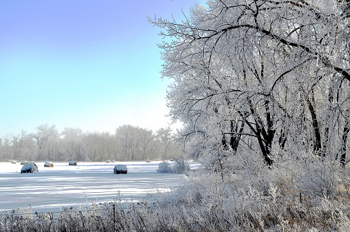 A winter wonderland scene in North Dakota.