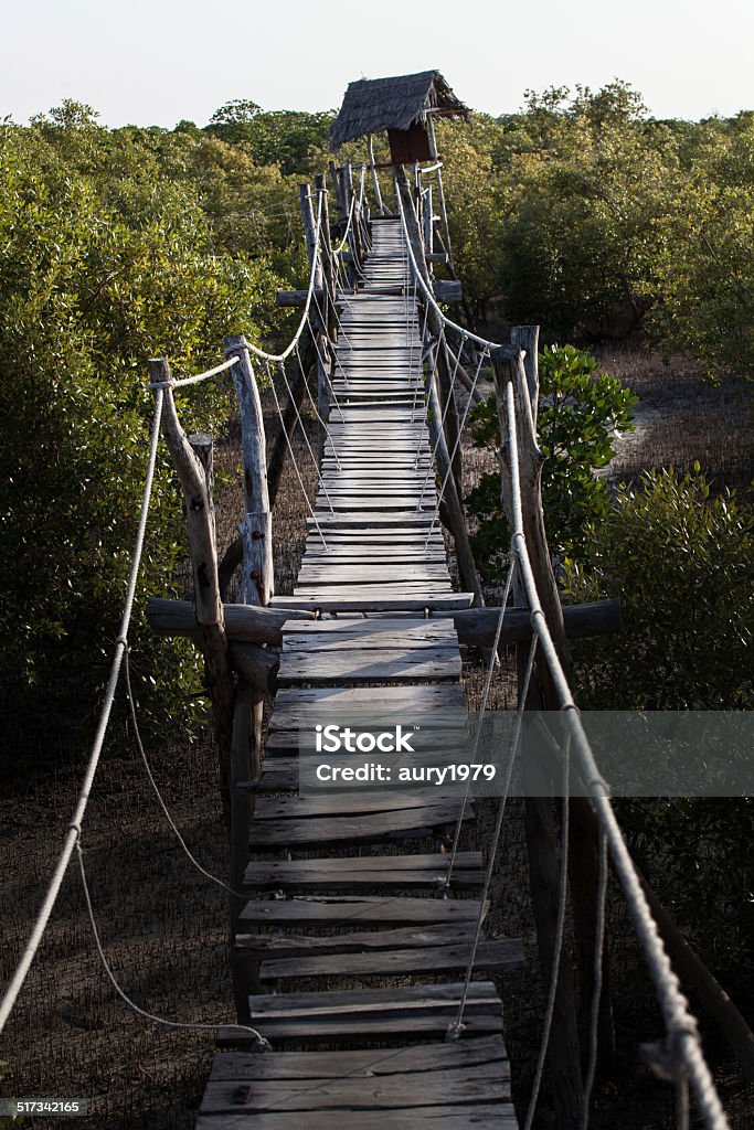 wooden bridge in kenya Adventure Stock Photo