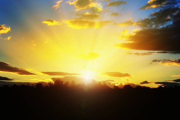 istock Awe-inspiring sunset as sun sinks behind silhouetted trees 517343002
