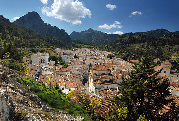 마을 그라잘레마, 안달루시아, 스페인 - andalusia malaga rural scene spanish culture 뉴스 사진 이미지