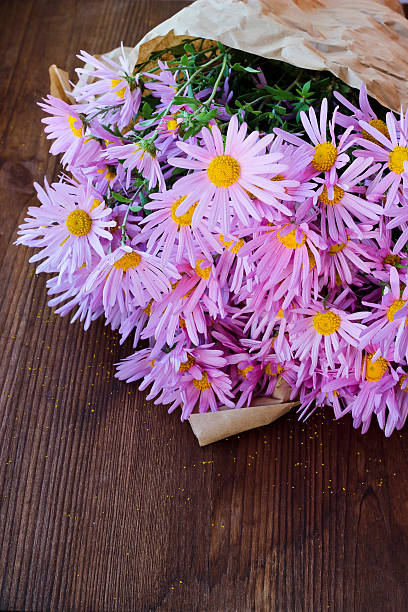 istock Chrysanthemum on wooden background 517344328