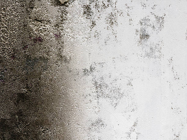istock Old  painted wall  divided into two parts 517344499