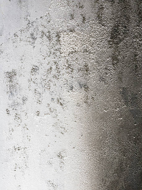 istock Old  painted wall  divided into two parts 517344591