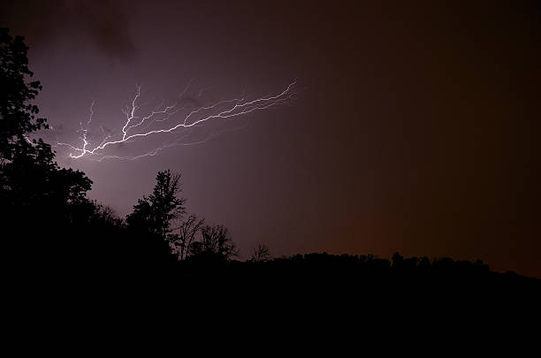 istock beautiful lightning in the forest 517345767