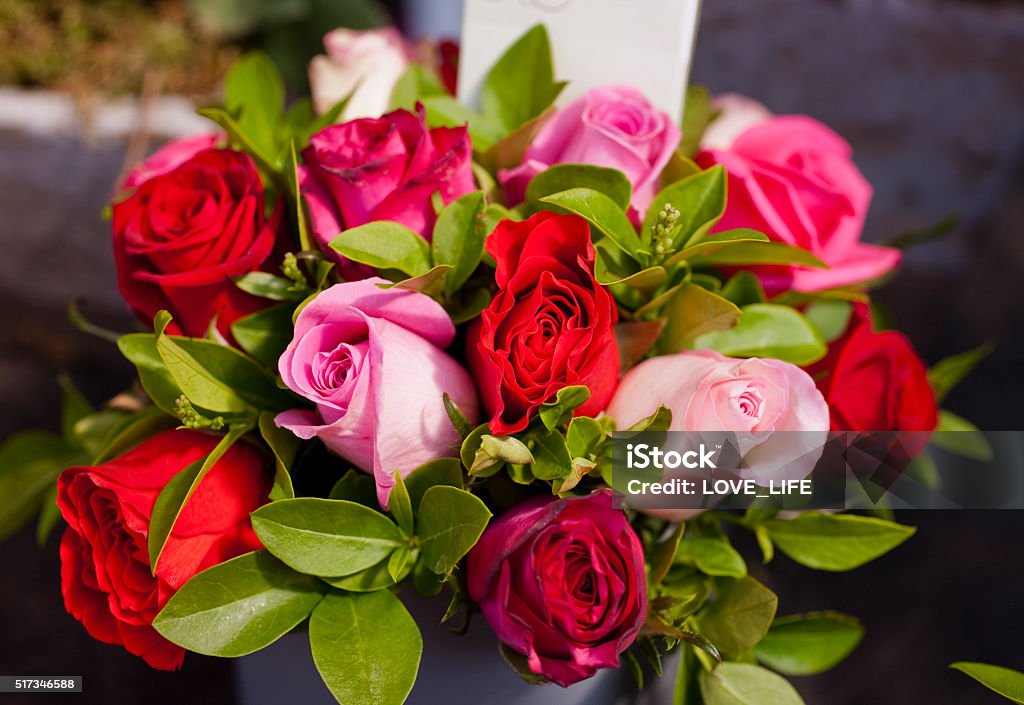 Paris marché aux fleurs Roses - Photo de Rose - Fleur libre de droits