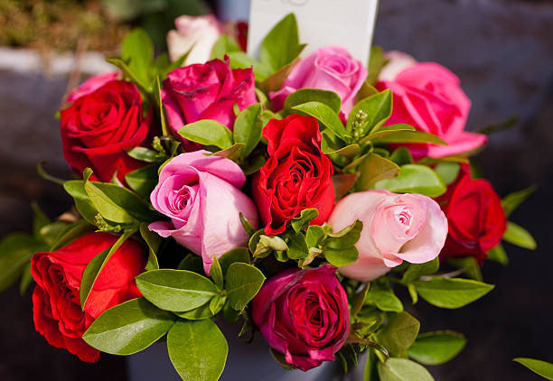 paris mercado de flores rosas - roses in a vase - fotografias e filmes do acervo