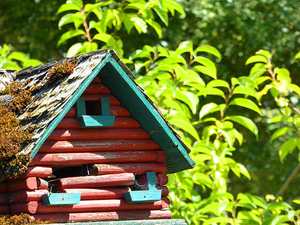 istock Bird House in the Woods 517346924