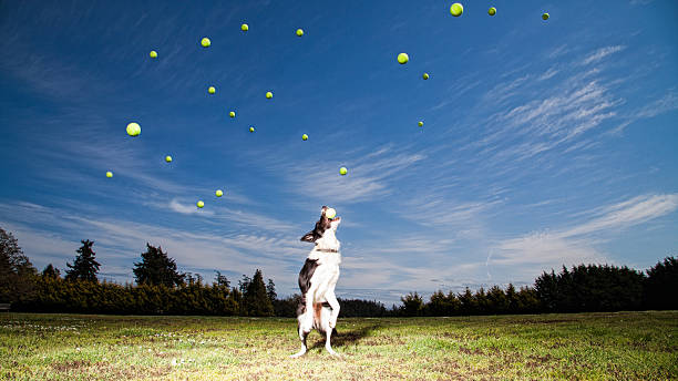 Piove palline da campo da tennis - foto stock