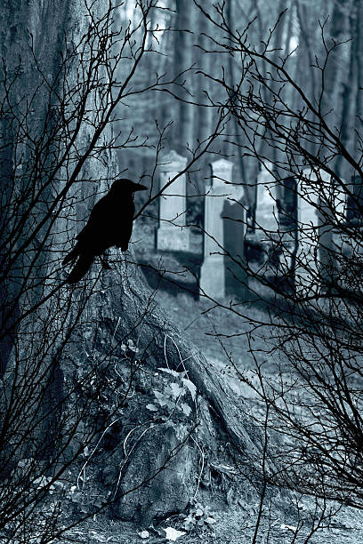 istock old gravestones and black raven 517347485