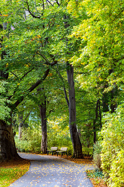 istock Bench in city park 517349382