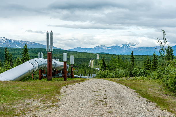 istock Trans Alaska Pipeline, Alaska 517350200