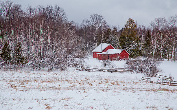 istock Winter red barn scene in door county 517350354