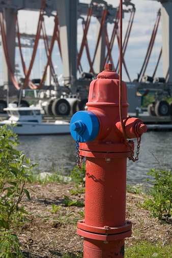 Fire hydrant near shoreline.