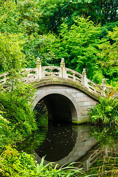istock Beautiful Japanese garden 517360907