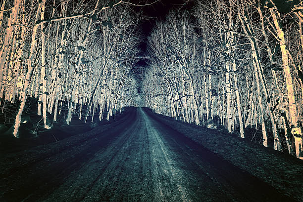 barva obrácený sníh pokrytý venkovskou silnicí - deep snow fotky - stock snímky, obrázky a fotky