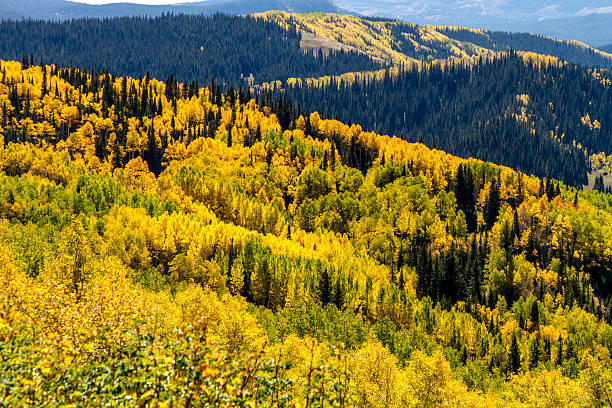 istock Fall in Steamboat Springs Colorado 517363581
