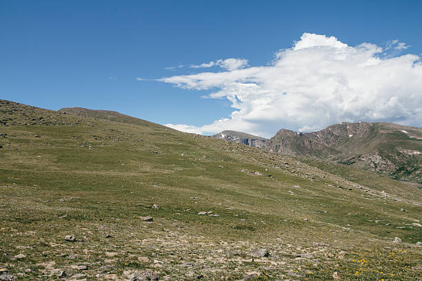 Green Hillside in the Rocky Mountains