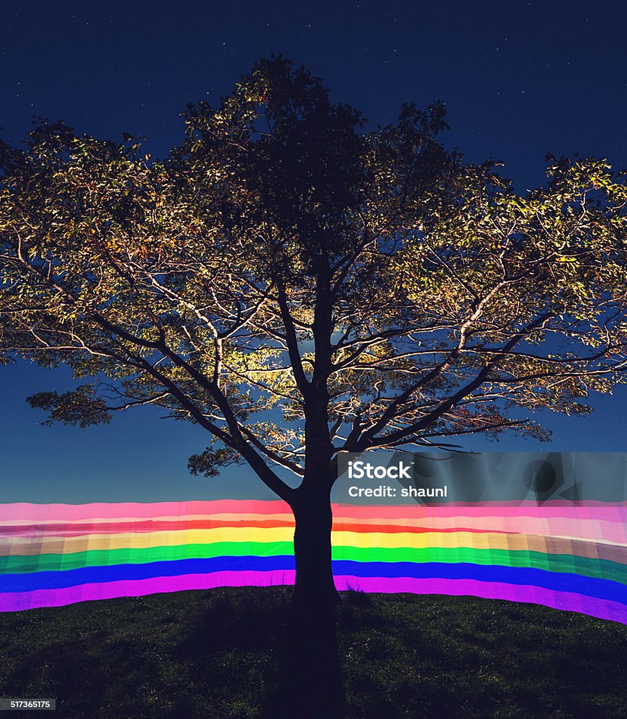 Gradient Rainbow A ribbon of rainbow wraps around a tree in a field.  Long exposure with light painting. Agricultural Field Stock Photo
