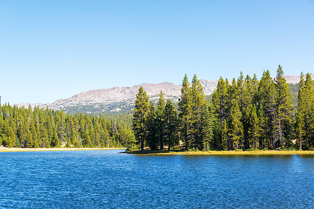 istock West Tensleep Lake and Trees 517372166
