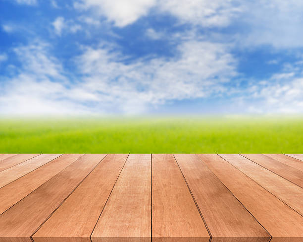 istock Bright spring or summer with nature background and wooden floor 517372812