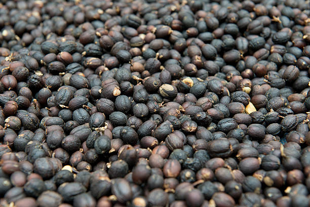 istock Coffee beans dried in the sun 517374954