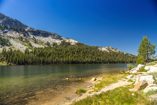 Lake Aloha is a shallow backcountry glacial basin in the Sierra Nevada mountains of California. The lake is within the federally protected Desolation Wilderness and is on the Pacific Crest Trail.