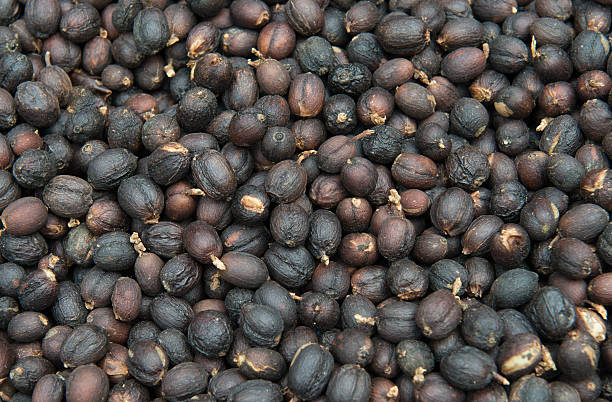 istock Coffee beans dried in the sun 517375132