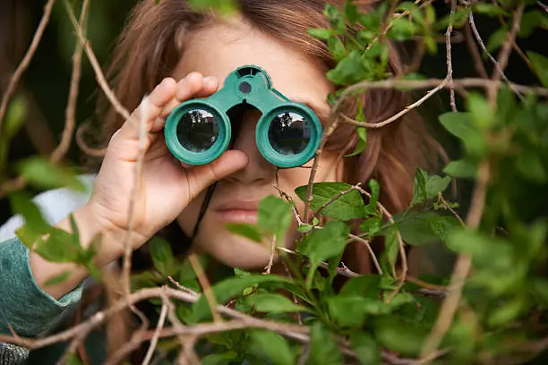 Photo of Bird watching is serious business!