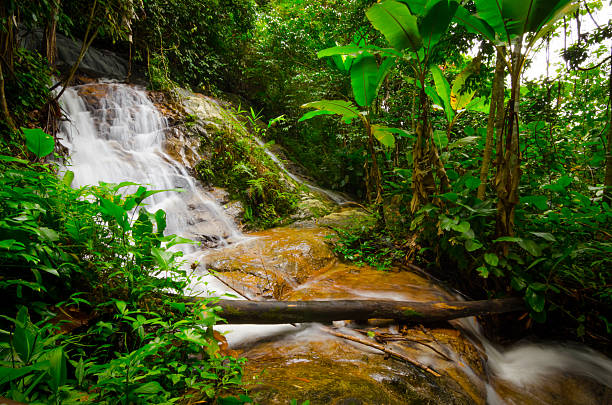 istock Waterfall in Chiangmai , Thailand 517375969