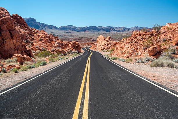 istock Road to Valley of Fire, Nevada 517377056