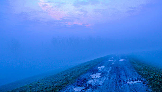 lesie z mgły - forest transylvania rain fog zdjęcia i obrazy z banku zdjęć