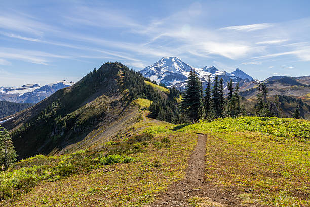 Looking along Skyline Divide trail   toward Mount Baker, Washington State Skyline Divide hiking trail winds along a high ridge through alpine meadows in late summer towards the snow-covered peak of Mount Baker, Washington State, giving the hiker an "on-top-of-the-world" feeling or that of freedom "free-as-a-bird"... in the fresh, crisp, clean, mountain air. mt baker stock pictures, royalty-free photos & images