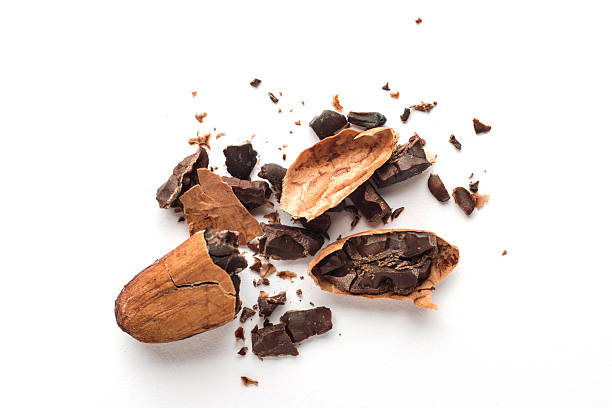 Cacao Beans Cacao Beans on white cocoa bean stock pictures, royalty-free photos & images