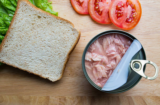 Tuna Sandwich stock photo