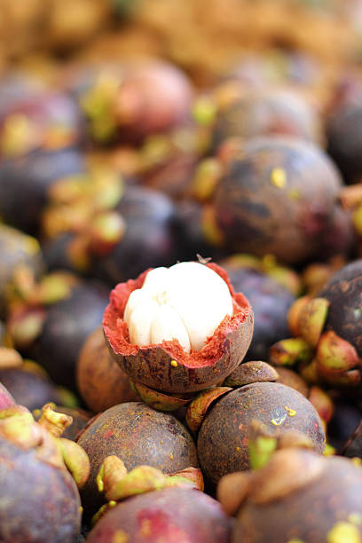 istock Fresh mangosteen in the Market 517380839