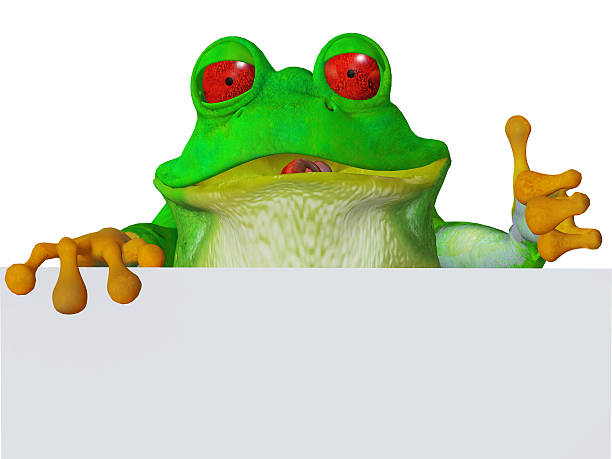 istock cute cartoon frog O'kay 517381355