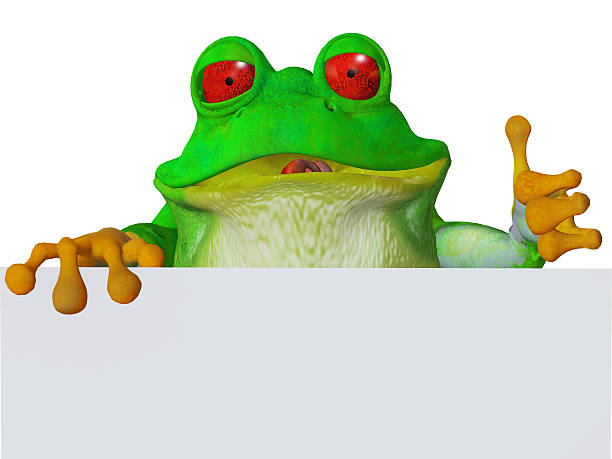 cute cartoon frog O'kay stock photo