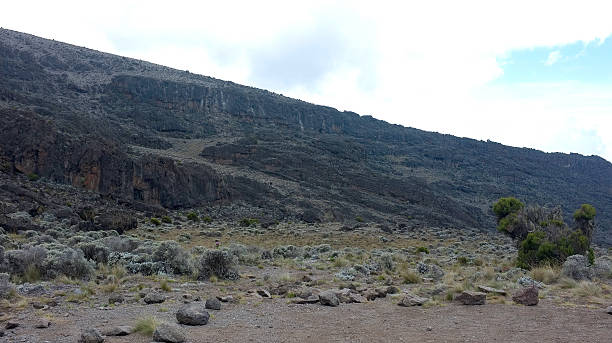 istock On the slope of the Kilimandjaro 517382425