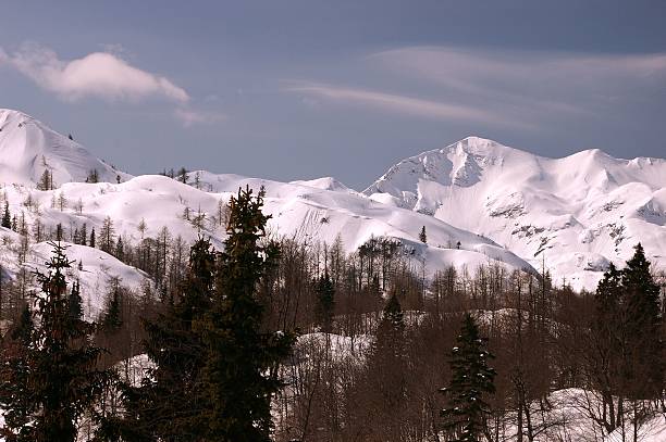 istock Mountain Vogel in Slovenia 517396711