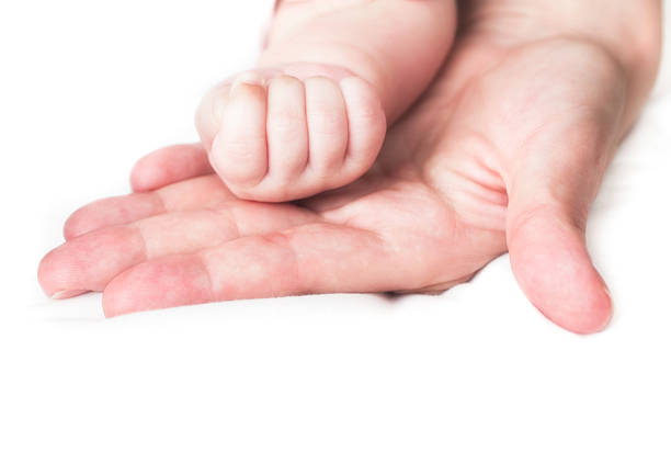 istock Baby and mother's hands 517397571
