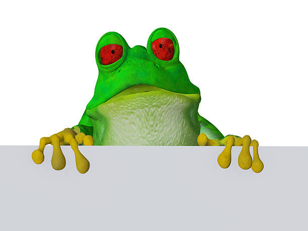 istock cute cartoon frog holding a blank sign 517398659