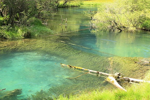 istock jiuzhaigou national park in china 517399039