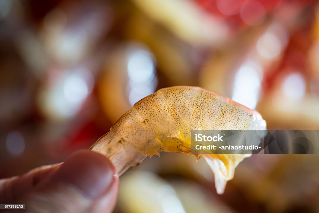 fresh shrimp on hand Aquaculture seafood, fresh shrimp on hand. Animal Stock Photo