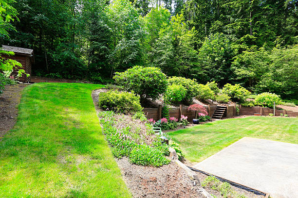 istock Beautiful backyard landscape and garden view 517400481